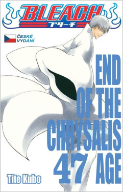 Bleach 47: End Of The Chrysalis Age - Tite Kubo