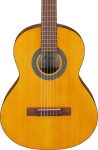 Ibanez GA2 Amber