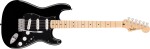 Fender Standard Stratocaster MN Black Pickguard BK