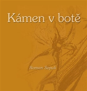 Kámen v botě - Roman Szpuk