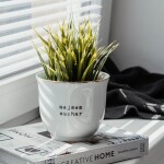 Bella Rose Porcelánový obal na květináč Nejsem suchar 10 cm, bílá barva, zlatá barva, porcelán