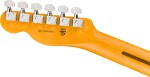Fender American Professional Telecaster MN 3TS