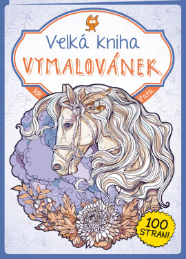 Velká kniha Vymalovánek fialová