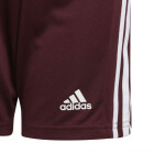 Squadra 21 Short Jr GN8081 Adidas