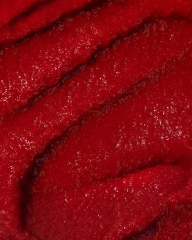 Vilgain Rajčatový protlak BIO – 200 g