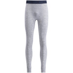Pánské funkční kalhoty Swix RaceX Merino Pants M