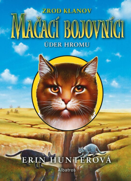 Mačací bojovníci 2: Úder hromu - Erin Hunter