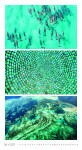 Nástěnný kalendář 2027 Graspo Colours