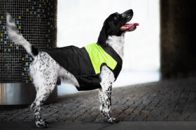 Slim-rainy obleček pro psa na zip Barva: Černo-žlutá, Délka zad (cm): 28, Obvod hrudníku: 40 - 45 cm