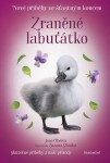 Nové příběhy se šťastným koncem Zraněné labuťátko