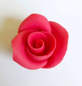 Dortisimo Cukrová růže střední červená (25 ks)