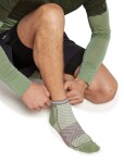 Pánské merino ponožky ICEBREAKER Mens Run+ Ultralight Mini, Lichen/Porcini velikost: 39-41,5 (S)