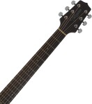 Takamine GD20CE-NS