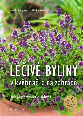 Léčivé byliny květináči na zahradě