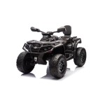 Mamido Dětská elektrická čtyřkolka Can-Am Outlander ATV 24V 4x200W černá