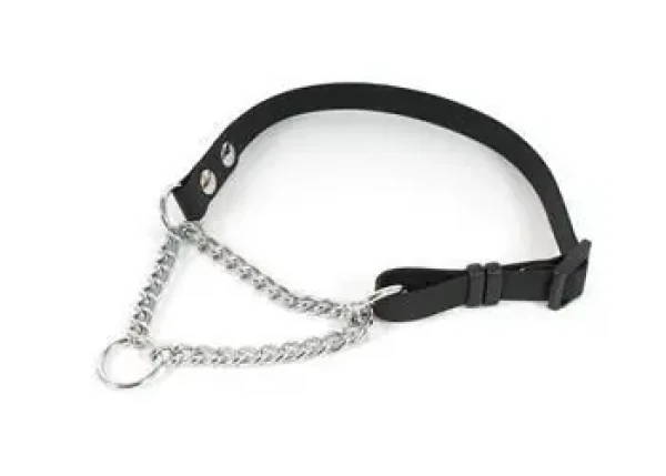 FENICA Obojek iQsil polostahovací černý / Pro psy / Nylonový / 15 mm / 35-50 cm (8592644102018)