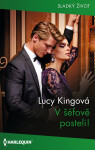 V šéfově posteli! - Lucy Hawkingová