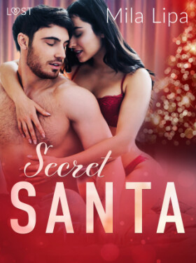 Secret Santa – Erotic Christmas Story - Mila Lipa - e-kniha