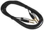 Bespeco EA2J500