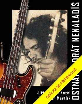 Ostnatej drát nenaladíš - Vladimír Mertlík