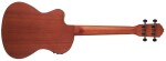 Ortega RU5CE-TE