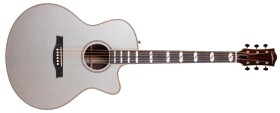 Godin Connaisseur Satina Grey