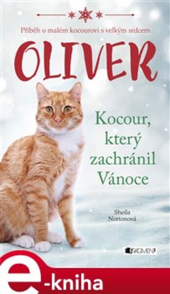 Oliver kocour, který zachránil Vánoce