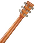 Tanglewood TR 5 CE