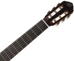 Ortega R19G