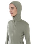 Dámská merino mikina s kapucí ICEBREAKER Wmns 260 Quantum IV LS Zip Ho, Lichen velikost: S