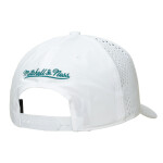 Mitchell & Ness Pánská kšiltovka Charlotte Hornets NBA Perfect Logo Pro Snapback Hwc