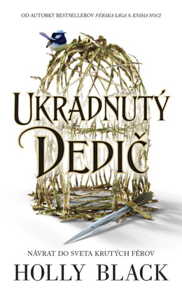 Ukradnutý dedič - Holly Black