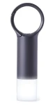Lexon Nomaday Flash LL137X šedá / LED klíčenka / IPX4 / USB-C (LL137X)