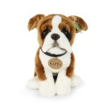 Pes boxer 27 cm ECO-FRIENDLY