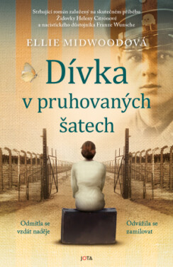 Dívka v pruhovaných šatech - Ellie Midwoodová - e-kniha