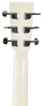 Sigma Guitars GM-1E-MFW