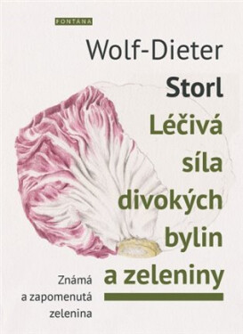 Léčivá síla divokých bylin zeleniny