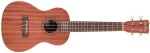 Cordoba Ukulele Player Pack Concert