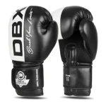 DBX BUSHIDO B-2v20 Boxerské rukavice (5904639191311)