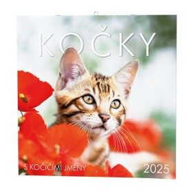 Kočky 2025 nástěnný kalendář