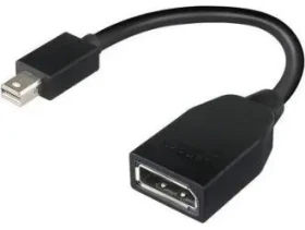 Lenovo 4X90L13971 / Redukce / Mini DisplayPort (M) - DisplayPort (F) / Černá (4X90L13971)