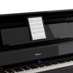 Roland LX-9 CH