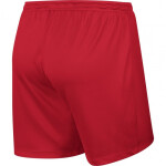 Nike Park Knit Short NB W 833053-657 Fotbalové šortky L