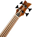 Ortega CAIMAN-BS-GB