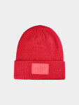 Čepice beanie unisex 4F Velikost: OSFA