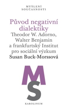 Původ negativní dialektiky - Buck-Morssová Susan - e-kniha
