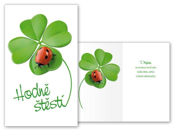 Hodně štěstí čtyřlístek a beruška přání Hodně štěstí čtyřlístek a beruška přání