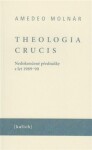 Theologia crucis Amedeo Molnár