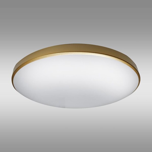 Svítidlo Q – 240CP Led 12W PL1