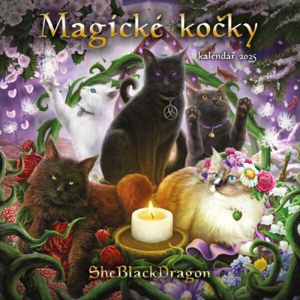 Kalendář 2025 Magické kočky - nástěnný - SheBlackDragon